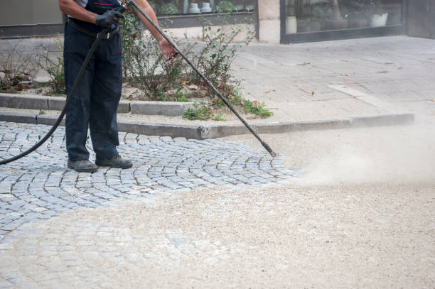  Lake Dallas, TX Pressure Washing Pros